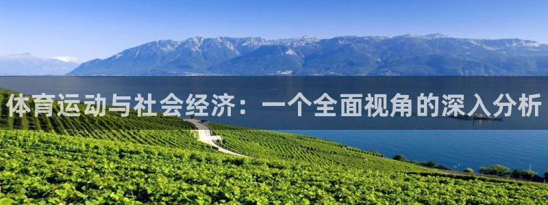 3377体育官网下载平台注册:体育运动与社会经济:一个全面视