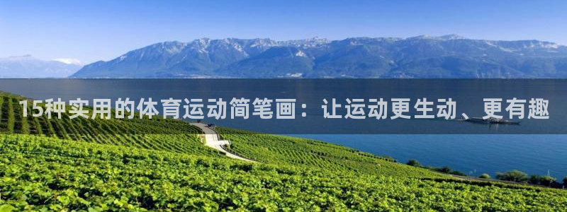 3377体育官网下载是干嘛的公司:15种实用的体育运动简笔画