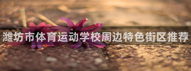 3377体育官网下载联系电话:潍坊市体育运动学校周边特色街区