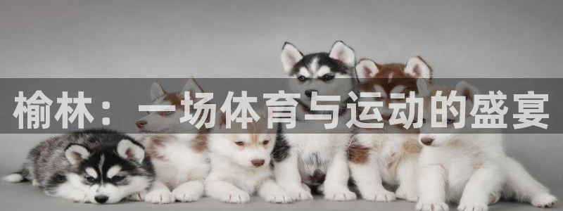 3377体育官网下载官方客服电话:榆林:一场体育与运动的盛宴