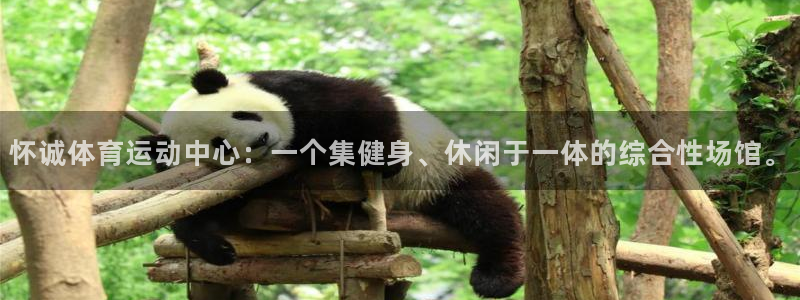 3377体育官网下载是干嘛的公司:怀诚体育运动中心:一个集健