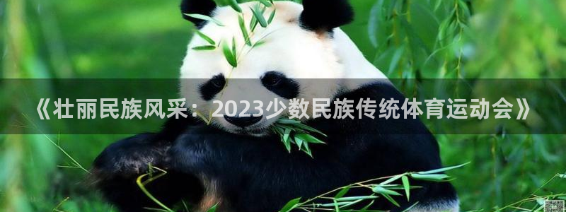 3377体育官网下载娱乐:《壮丽民族风采:2023少数民族传