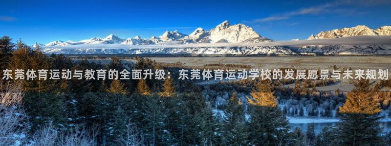 3377体育官网下载招商电话号码是多少号:东莞体育运动与教育